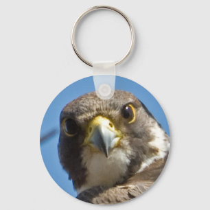 Porte-clés Porte - clé de faucon pérégrin