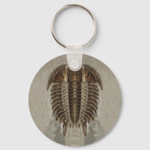 Porte-clés Porte - clé de fossile de Trilobite