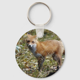 Porte-clés Porte - clé de Fox