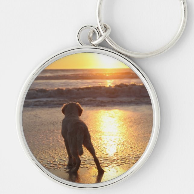 Porte-clés Porte - clé de golden retriever (Devant)