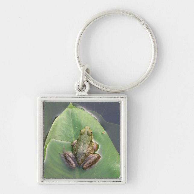 Porte-clés Porte - clé de grenouille (Devant)