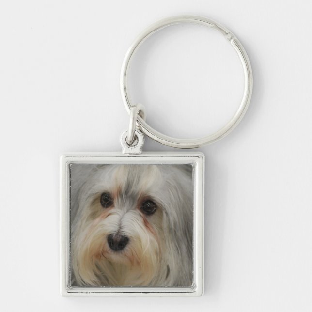 Porte-clés Porte - clé de Havanese (Devant)