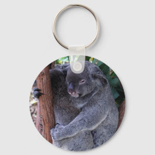Porte-clés Porte - clé de la famille Koala