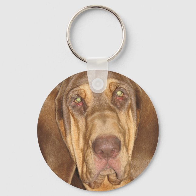 Porte-clés Porte - clé de la photo Bloodhound (Recto)