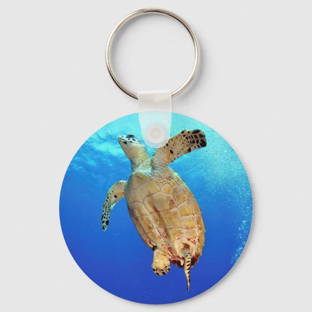 Porte-clés Porte - clé de la tortue de mer (Recto)
