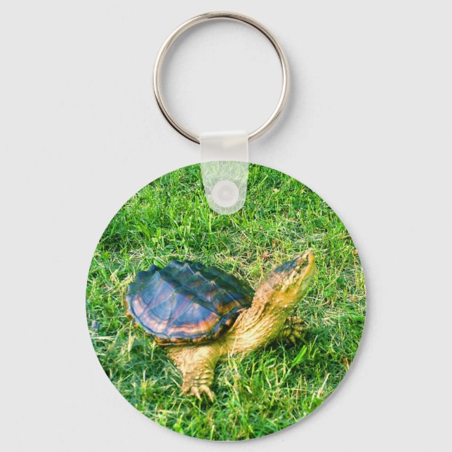 Porte-clés Porte - clé de la tortue serpent #3 (Recto)