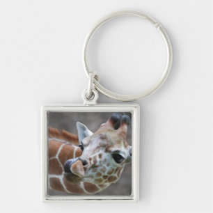 Porte-clés Porte - clé de langue de girafe