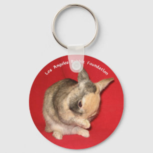 Porte-clés Porte - clé de lapin
