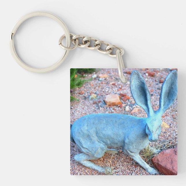 Porte-clés porte - clé de lapin chanceux (Devant)