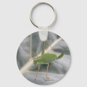 Porte-clés Porte - clé de macro cricket vert