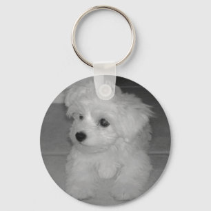Porte-clés Porte - clé de Maltipoo