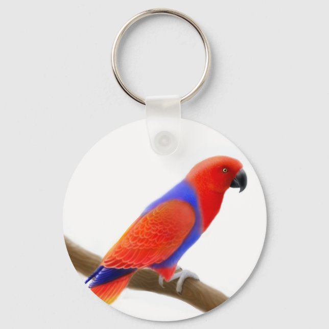 Porte-clés Porte - clé de perroquet Eclectus féminin (Recto)