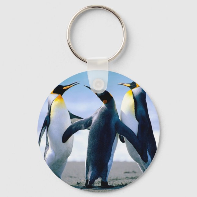 Porte-clés Porte - clé de pingouin (Recto)