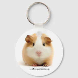 Porte-clés Porte - clé de porc de Guinée bébé