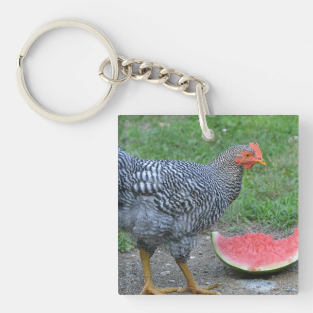 Porte-clés Porte - clé de poulet (Devant)