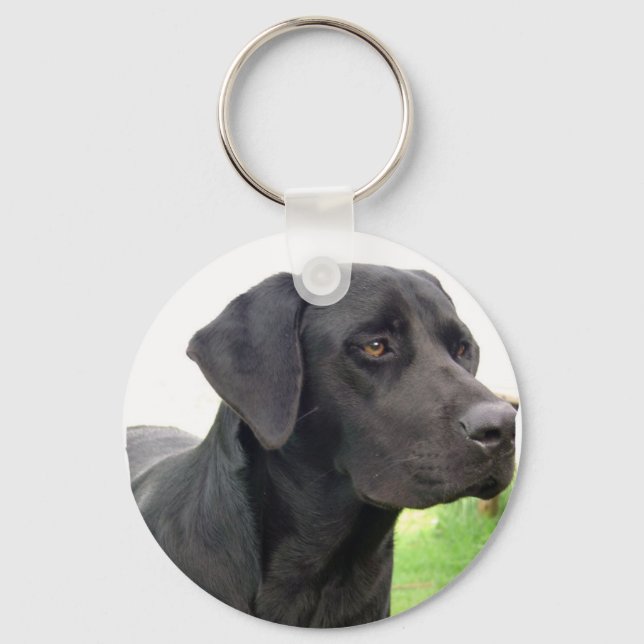 Porte-clés Porte - clé de repérage Black Labrador (Recto)