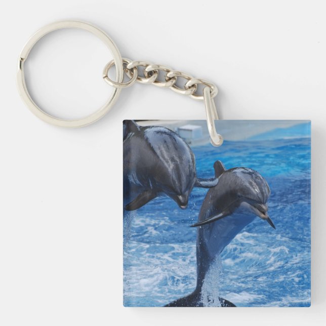 Porte-clés Porte - clé de saut de dauphin (Devant)