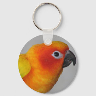 Porte-clés Porte - clé de Sun Conure