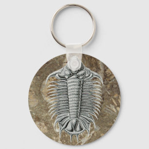Porte-clés Porte - clé de Trilobite
