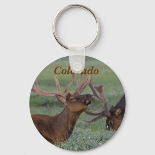 Porte-clés Porte - clé de wapitis du Colorado