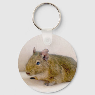 Porte-clés Porte - clé Degu