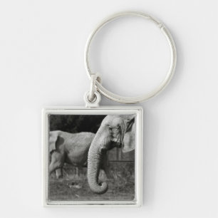 Porte-clés Porte - clé d'éléphants asiatiques