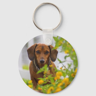 Porte-clés Porte - clé du bouton rond Mini rouge Dachshund