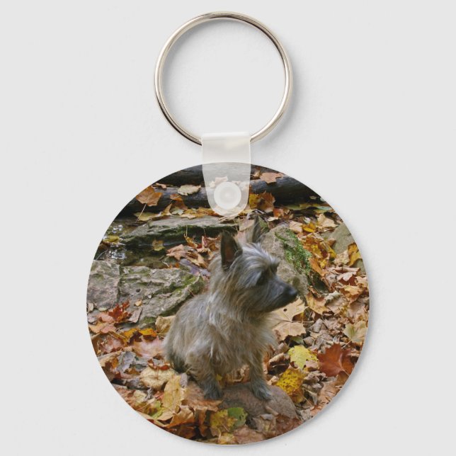 Porte-clés Porte - clé du Caire d'automne (Recto)