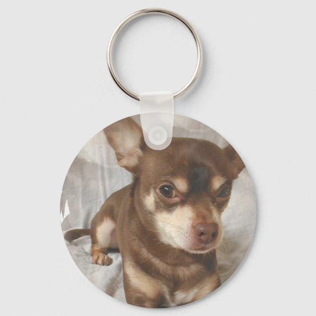 Porte-clés Porte - clé du Chihuahua (Recto)