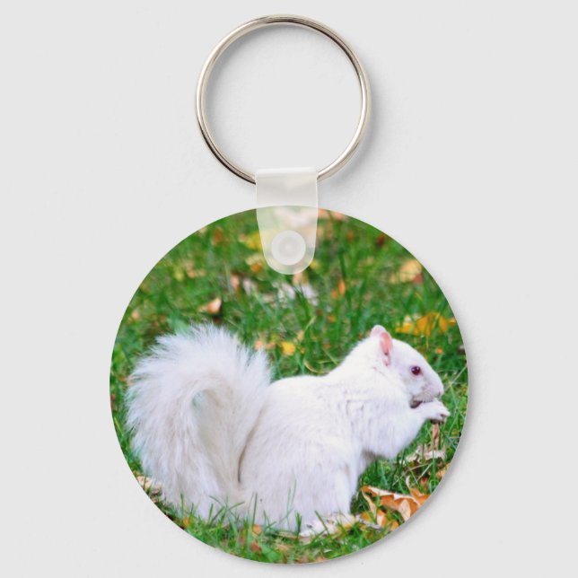 Porte-clés Porte - clé - Écureuil albinos (Recto)