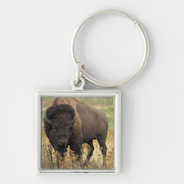 Porte-clés Porte - clé en bois de bison (Devant)