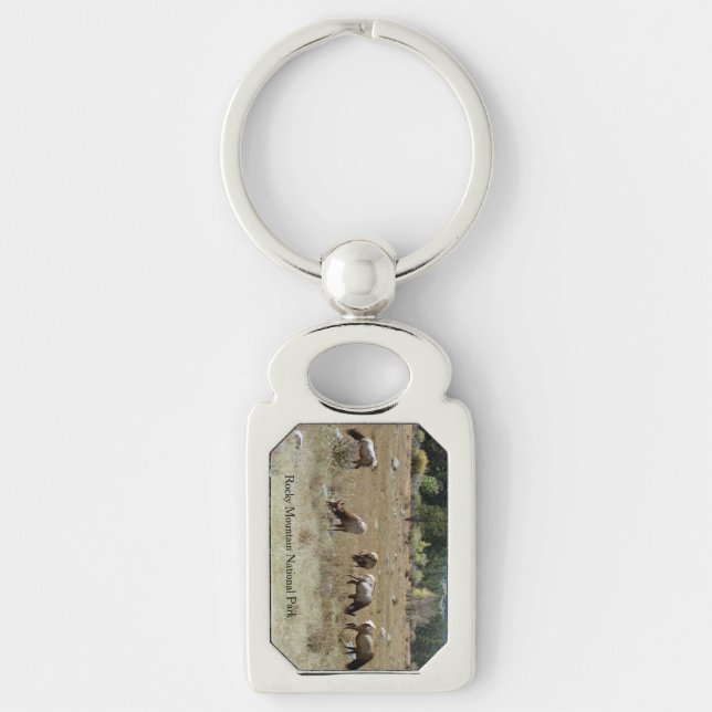 Porte-clés Porte - clé en métal d'elk (Devant)