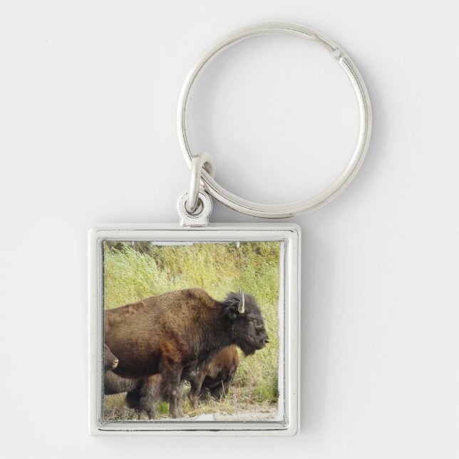 Porte-clés Porte - clé errant de Buffalo (Devant)