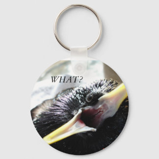 Porte-clés Porte - clé européen Starling