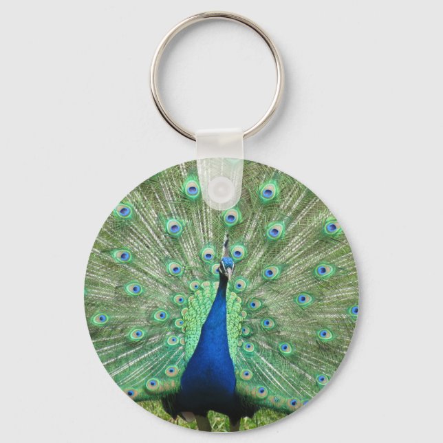 Porte-clés Porte - clé - Fière Peacock (Recto)