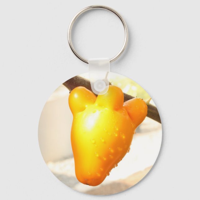 Porte-clés Porte - clé Fruit Face Fox (Recto)