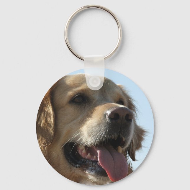 Porte-clés Porte - clé Golden Retriever (Recto)