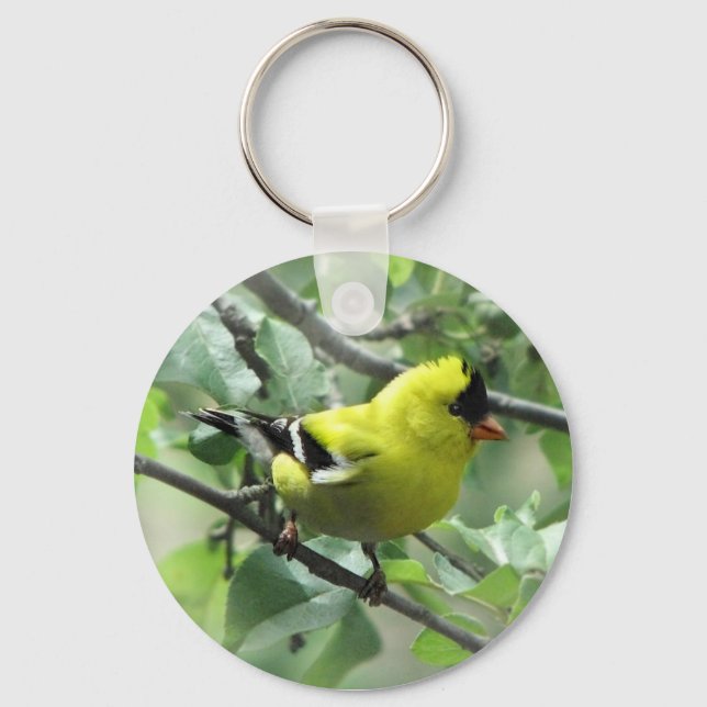 Porte-clés Porte - clé Goldfinch (Recto)