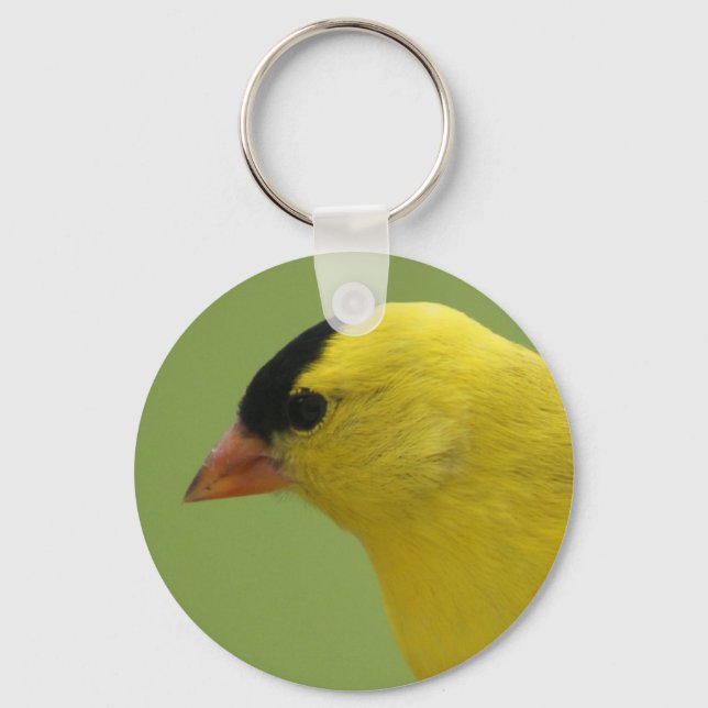 Porte-clés Porte - clé Goldfinch (Recto)