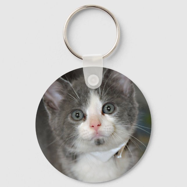 Porte-clés Porte - clé gris/gris/argenté et chaton blanc (Recto)