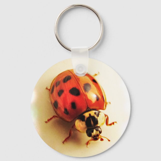 Porte-clés Porte - clé Ladybug (Recto)