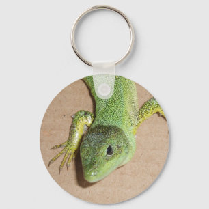 Porte-clés Porte - clé Lizard