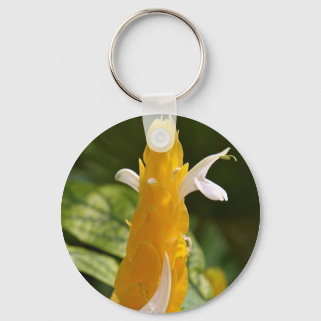 Porte-clés Porte - clé Lollipop (Recto)