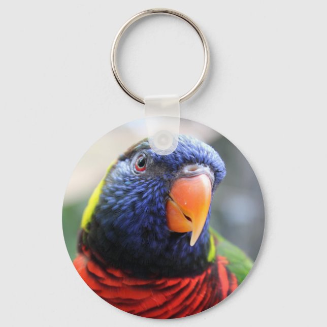 Porte-clés Porte - clé Lorikeet (Recto)