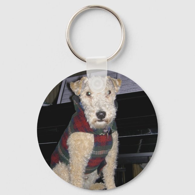 Porte-clés Porte - clé Maestro Groupie (Recto)