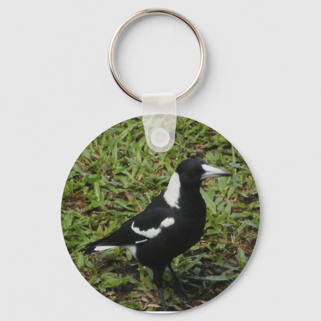 Porte-clés Porte - clé Magpie australien (Recto)