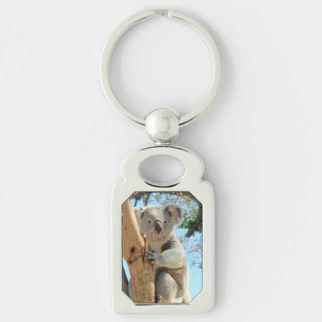 Porte-clés Porte - clé métallique Cute Koala (Devant)