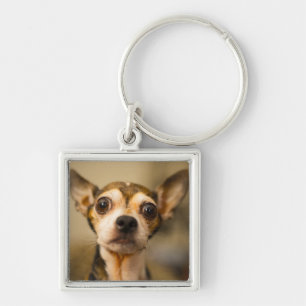 Porte-clés Porte - clé mignon 10 de chien