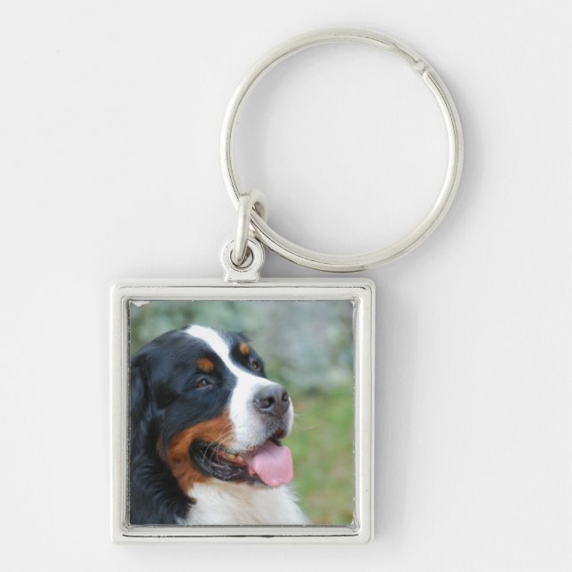 Porte-clés Porte - clé mignon de Bernese (Devant)