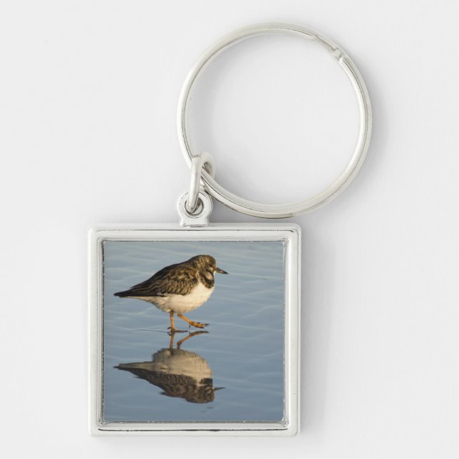 Porte-clés Porte - clé mignon d'oiseau de bécasseau (Devant)